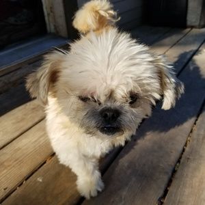 Meet your Posher, Jill